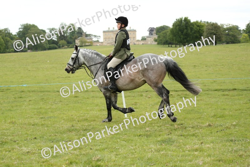20250517-1463 - Class 22 - Open Working Hunter