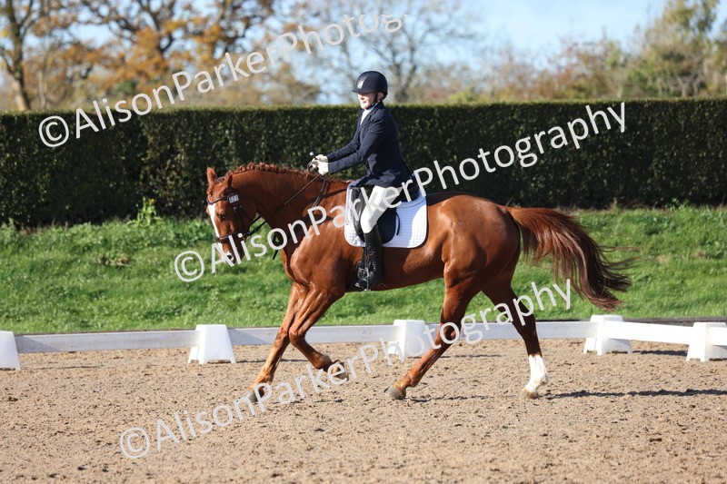 20251102-0539 - Class 3 - Novice 5