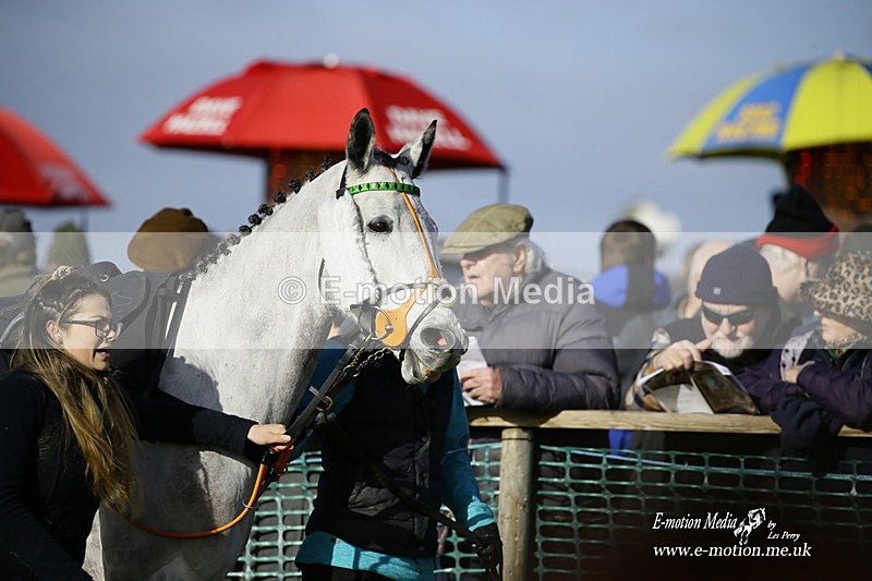 PtP 300122 154 - South Dorset Hunt - Point-to-Point Races 30/01/2022