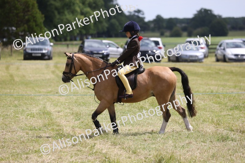 20260614-2131 - Class 21 - Novice Working Hunter Pony