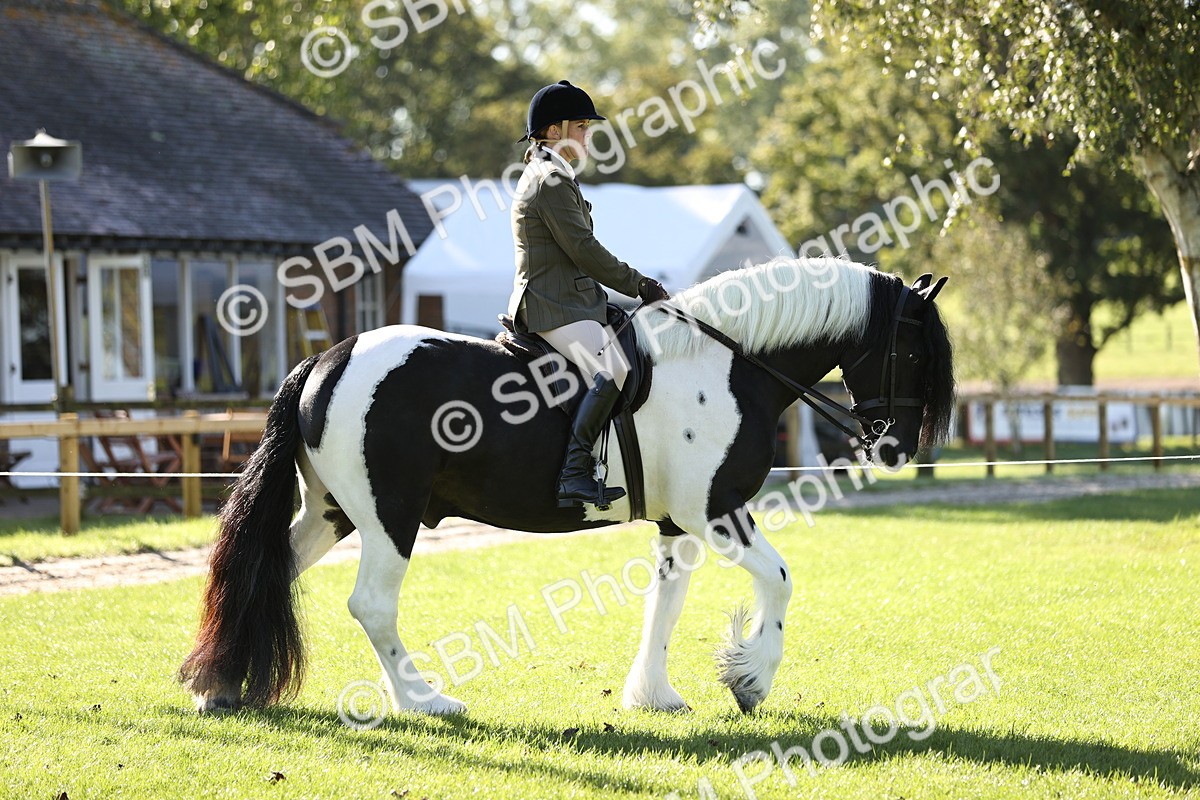 SBM_16863 - S2 - TSR Ridden Pony Showing
