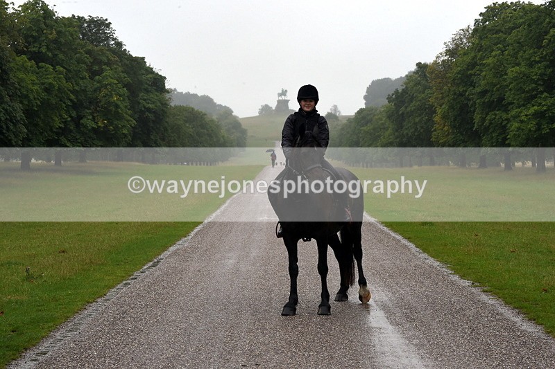 TT3_8493 - Time at Crossing 10:16 to 11:38