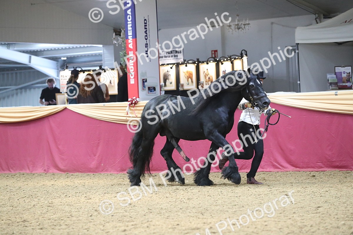 SBM_15163 - Class 501 M&M IH Supreme Final