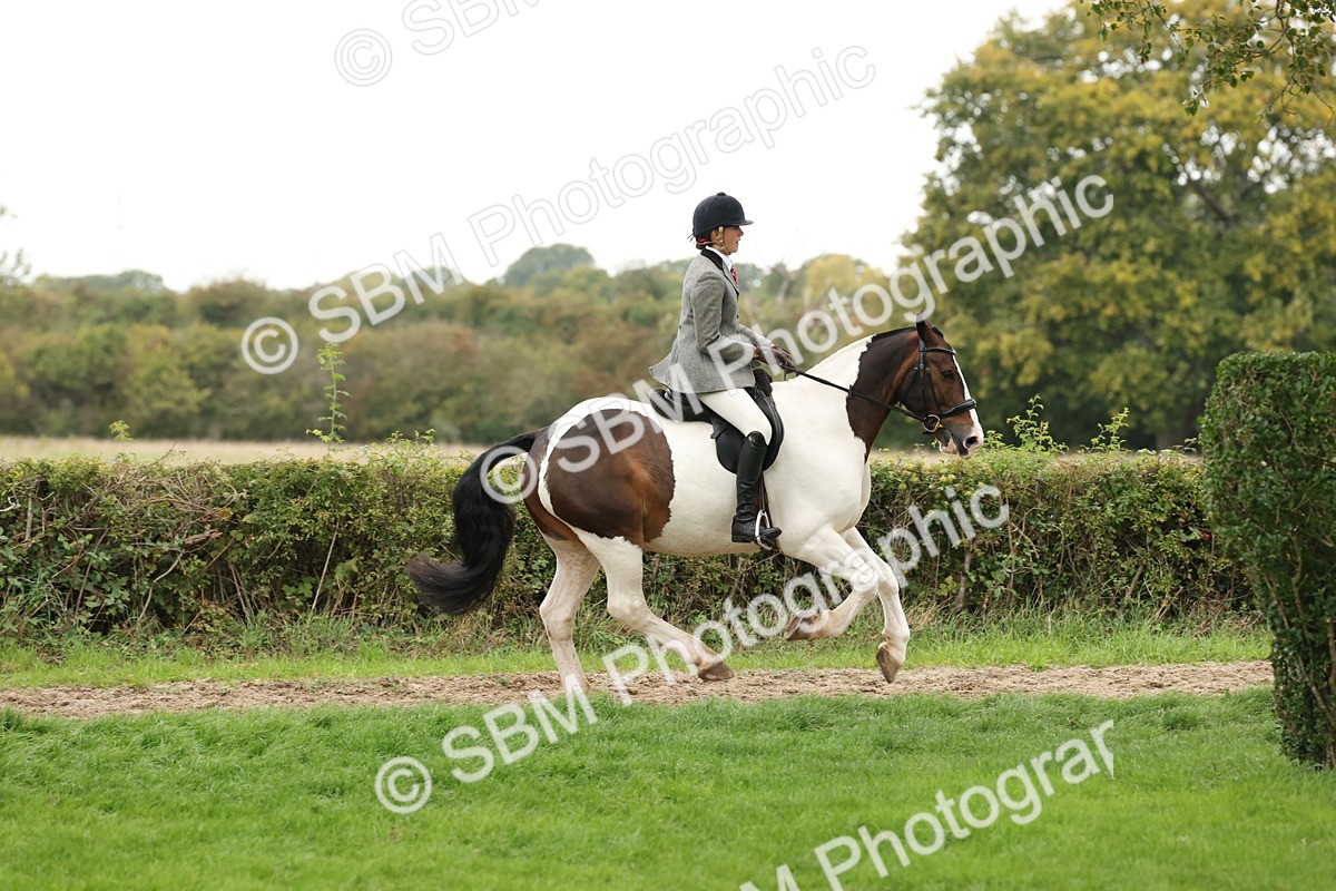 SBM_67335 - S67 - Piebald & Skewbald Horse Ridden