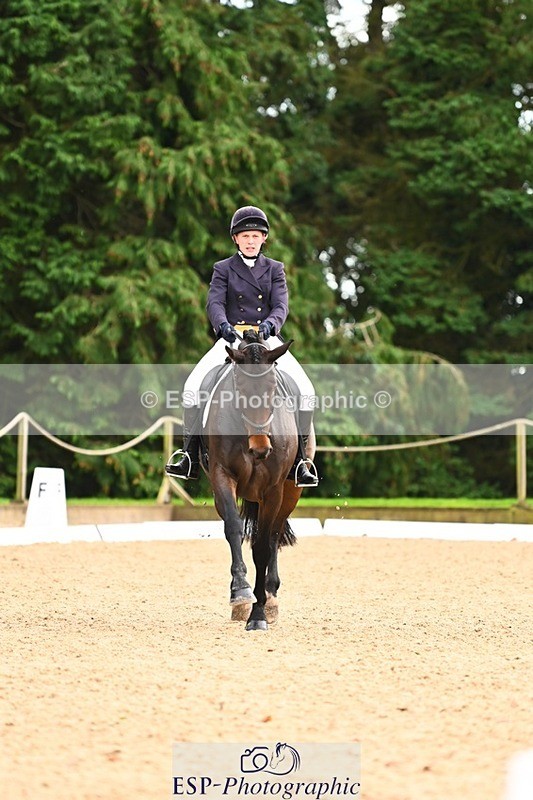 231020-155102-11964 - 217-CEFNPANT.IOLO-Katie.Thomas-DR