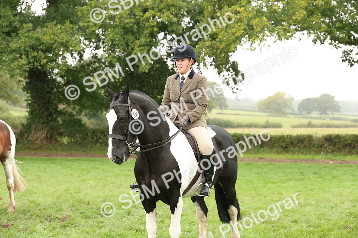 SBM_69834 - S69 - Show Cob Ridden