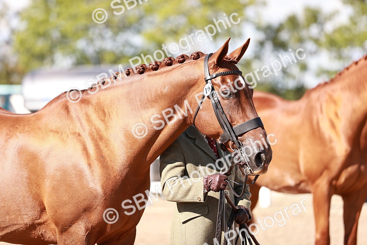 SBM_13341 - class 406 - IH Hunter