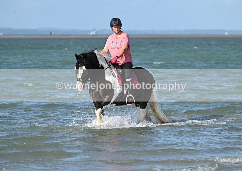 WJ7_3631 - Kellie & Churchill ... do Hayling Island 25-08-24