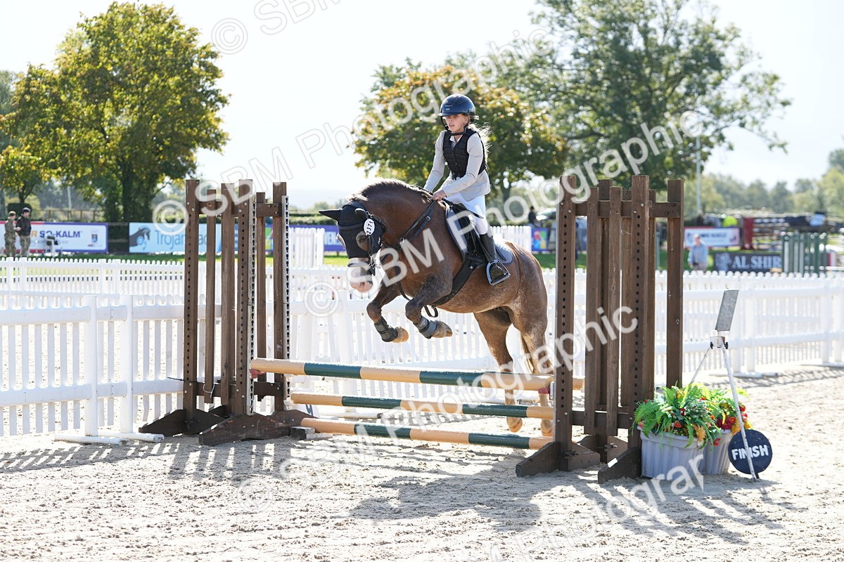 SBM_38290 - J6 - Junior Pony 55cm Championship