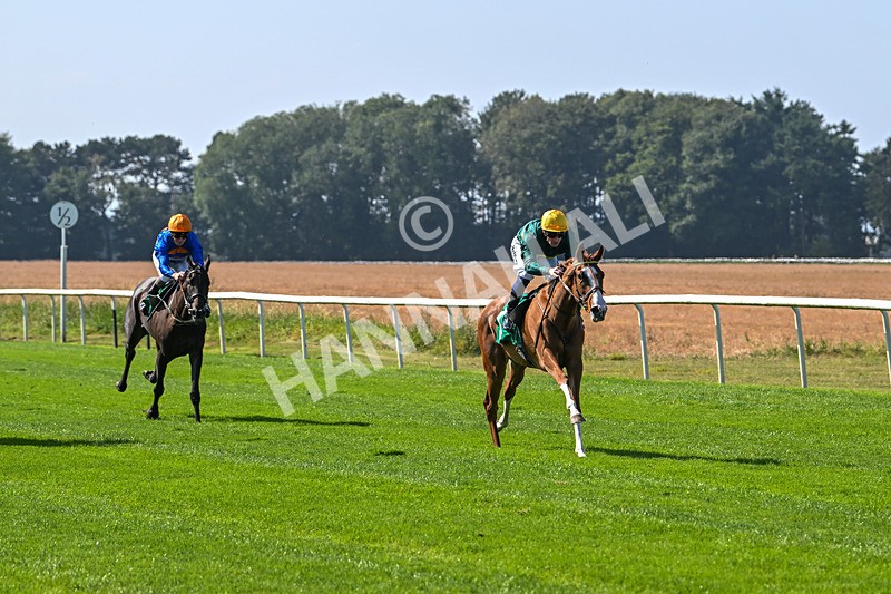 300824-Race 2-Consent-5704 - Race 2