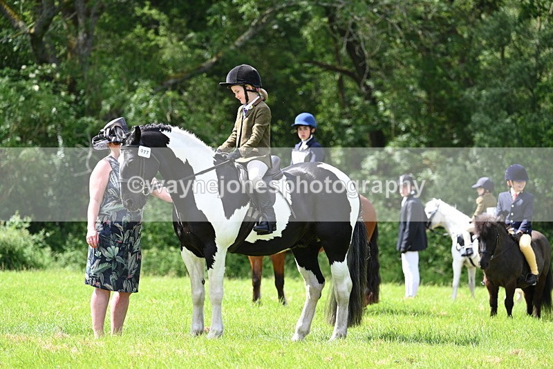 WJ7_1415 - Class 11 Condition & Turnout