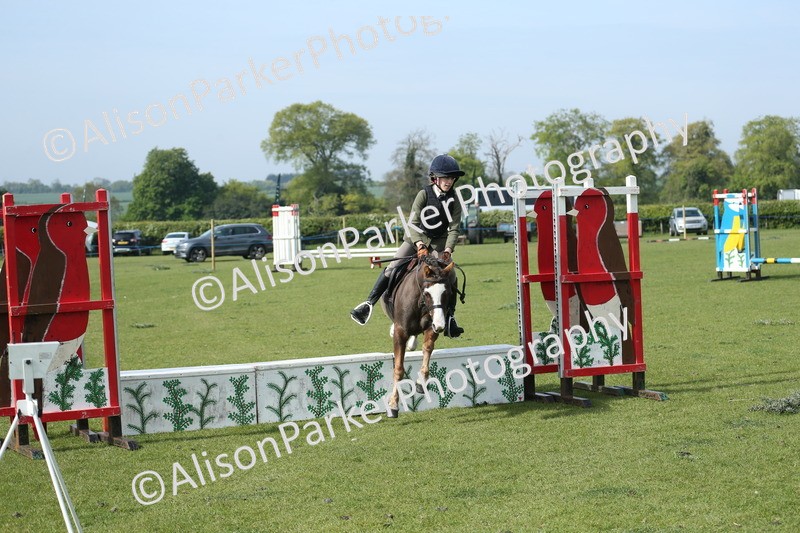 20260426-0229 - Class 13 - Rookie Jumping 50cm