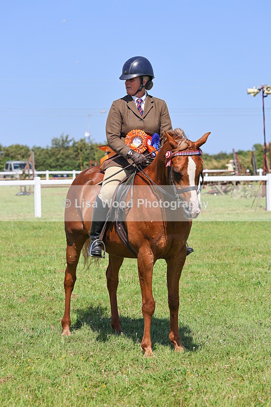IMG_2257 - Class 37: Pure, Anglo & Part Bred Ridden Arab