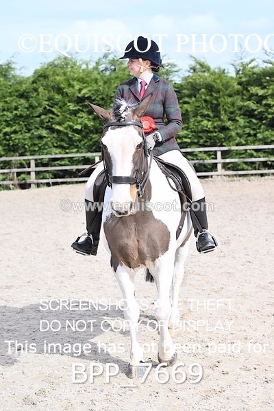 BPP_7669 - RING 1  (RIDDEN HORSES / IN HAND / VETERAN ETC)