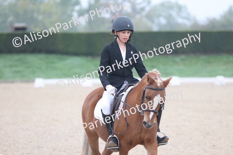 20251012-0071 - Class 1 - Prelim 5