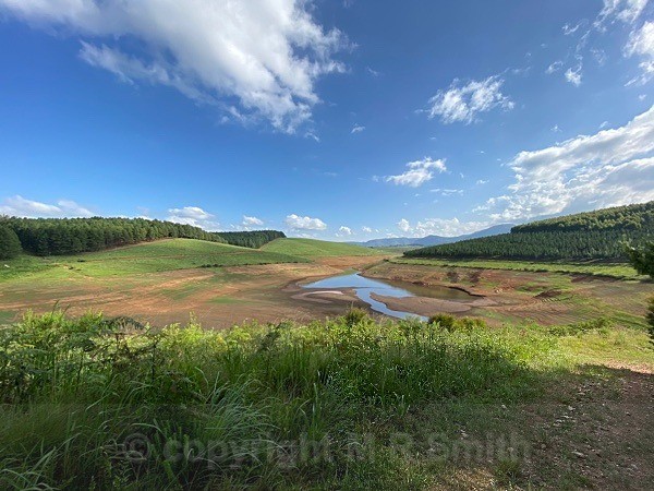 Blueberry Heights, Sth Africa - LANDSCAPES & TREES