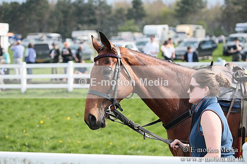 PtP 210418 296 - South & West Wilts Point-to-Point Larkhill 21/04/18
