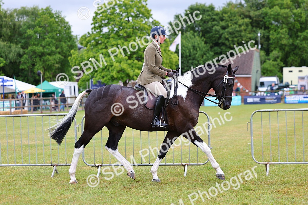 SBM_02478 - Class 9-11 Side Saddle including LIHS Rising Star Ladies Show Horse