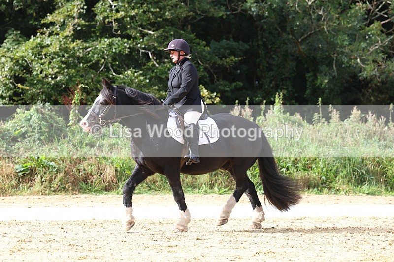 3E7A2322 - Class 1: Intro 4 2024 section A