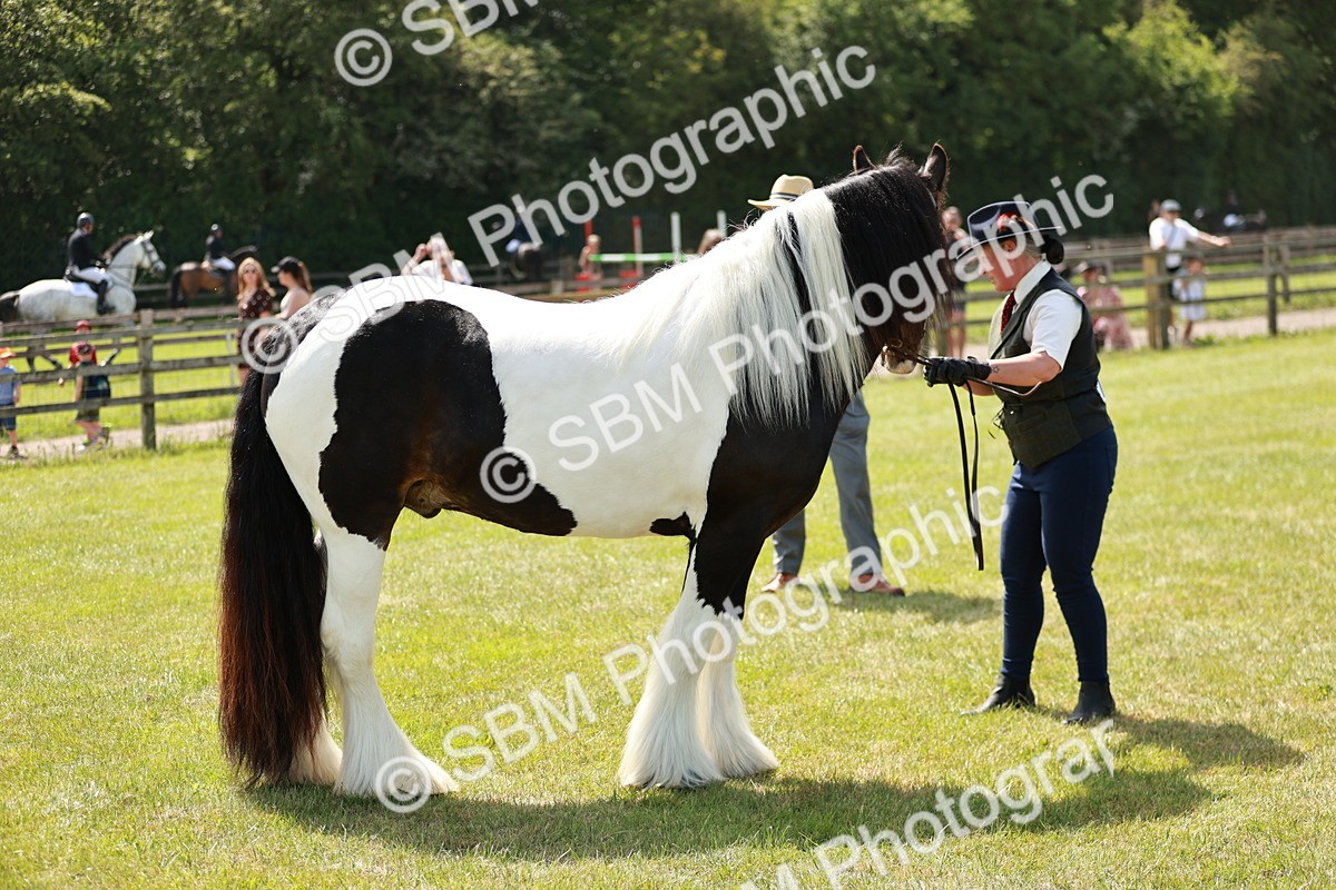 SBM_04167 - Class 39-40 - BSPA Coloured In Hand