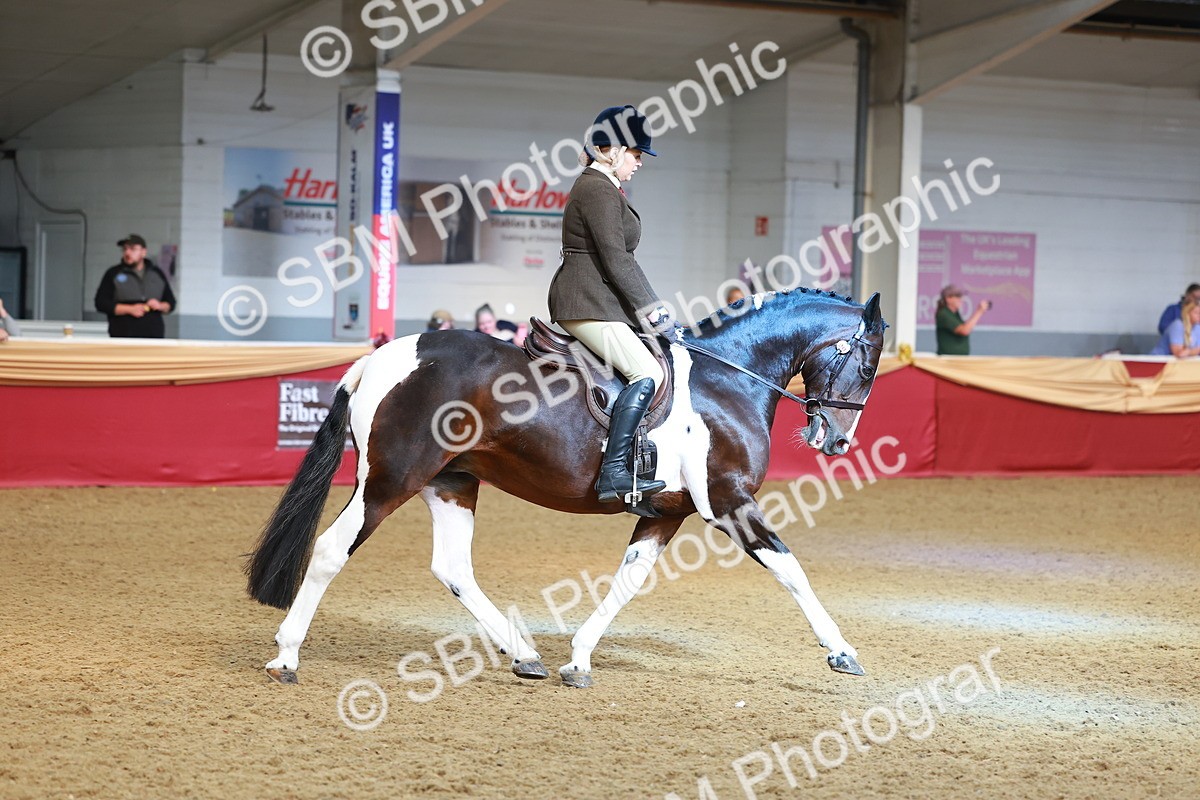 SBM_09764 - Class 102 - HOYS Veteran Qualifier - Ridden Veteran
