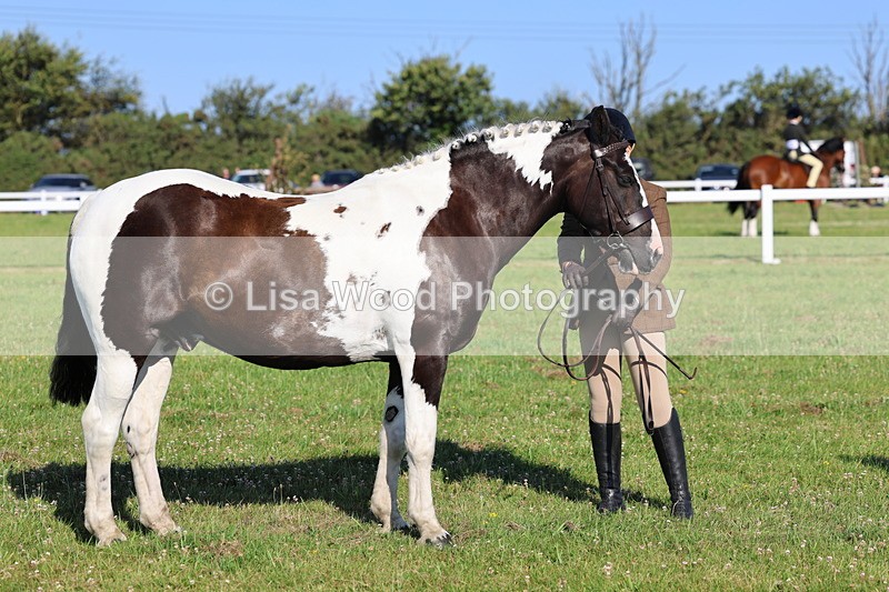 IMG_1399 - Class 28: Ridden Plaited Coloured Pony