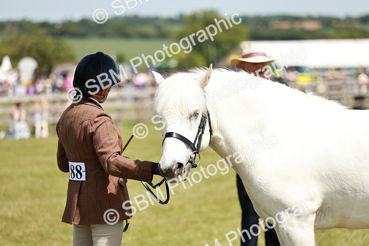 SBM_07145 - Class 26-30 - Mountain and Moorland Ridden