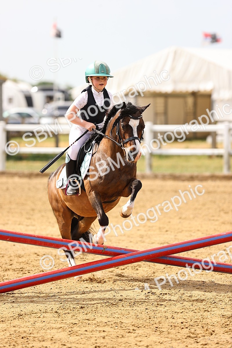 SBM_001481 - Class 1 - 40cm