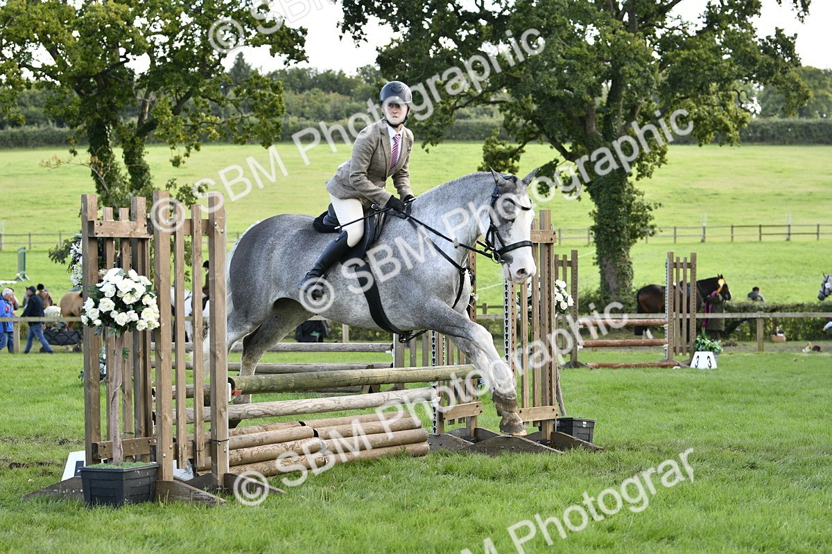 SBM_52192 - S35 - Working Hunter & Working Show Horse