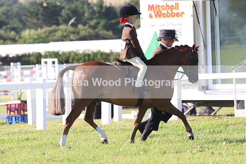 JPP_0709 - Class 16: Cornish Combination Leading Rein