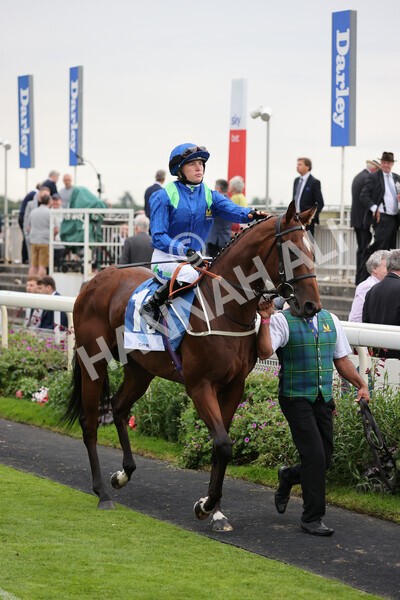 yr19082021r5-13 - Race 5 4.10pm OR8wellness ebfstallions Nursery Handicap
