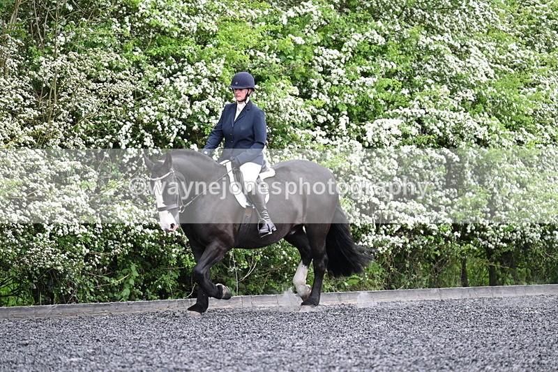 WJ7_8358 - Time 10:30 to 10:51