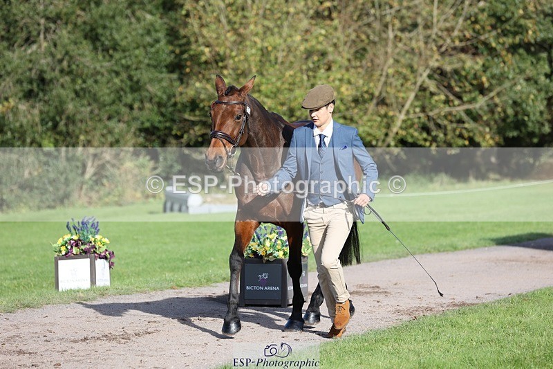 241027-101859-15808 - 504-Harry.Robinson-WHAT.A.WONDER