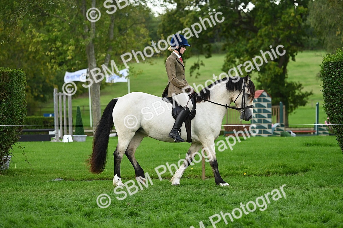 SBM_26550 - S7 - Novice & Newcomer Ridden Pony