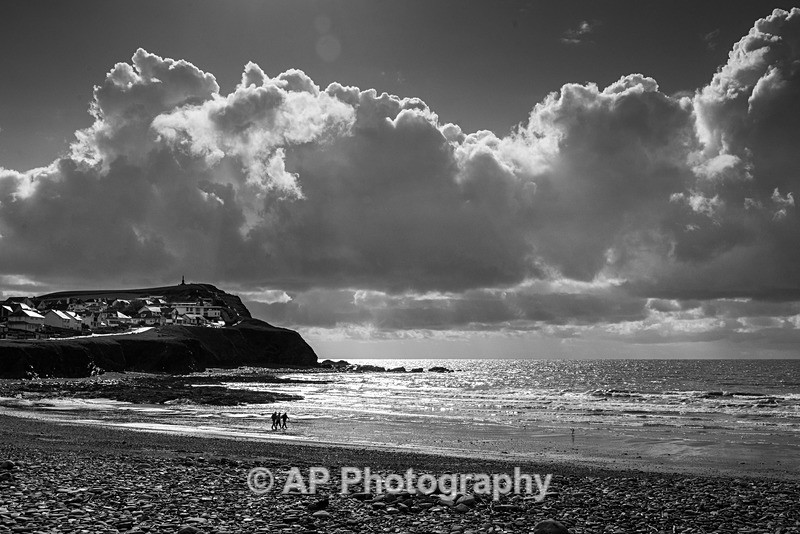 ACP_7968-2 - Borth
