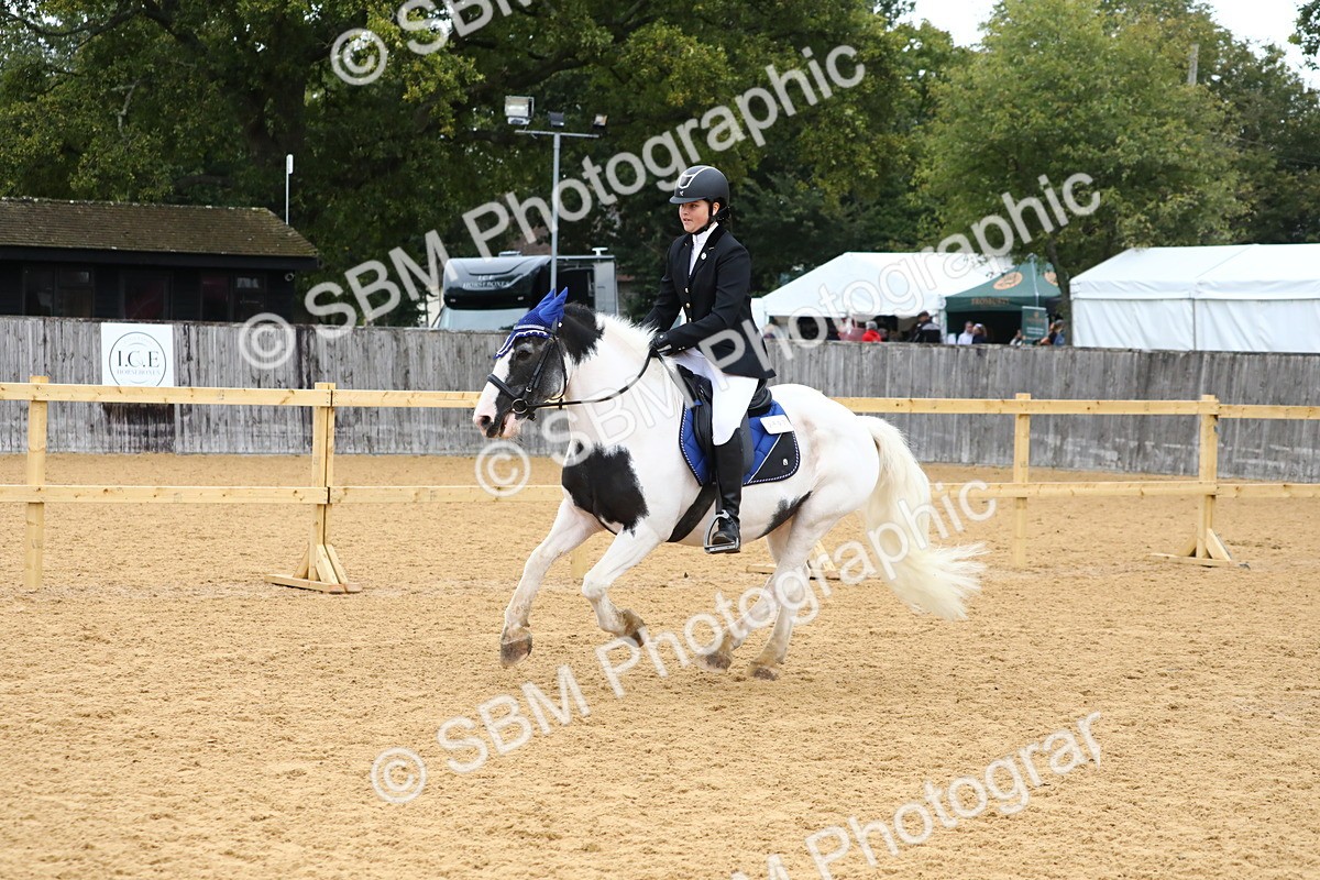 SBM_60127 - J63 - Junior Pony 50cm Championship