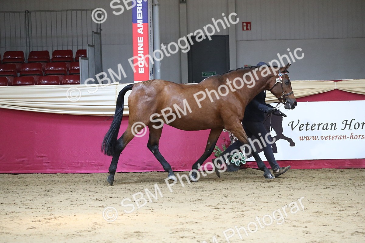 SBM_04346 - Class 7R Regional - IH Diamond
