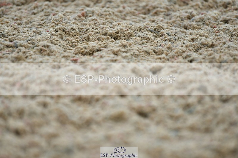 230630A-162106-03481 - Cls 1+5 Quest Intro A + Prelim 2