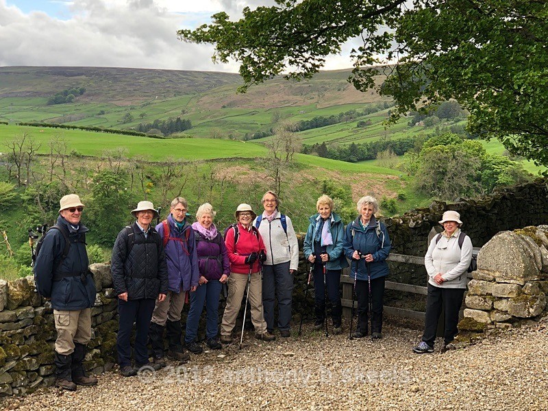 028 Entering Thrope Lane wooodland - The Nidderdale Way Collection