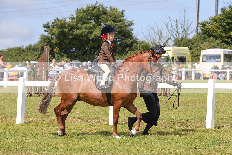 1X9A3832 - Plaited Mini Ridden Championship