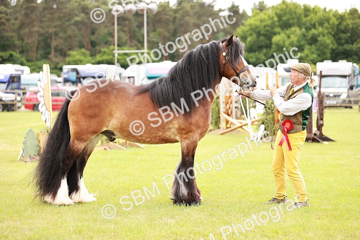 SBM_06069 - Class 39-41 TGCA In Hand and Ridden