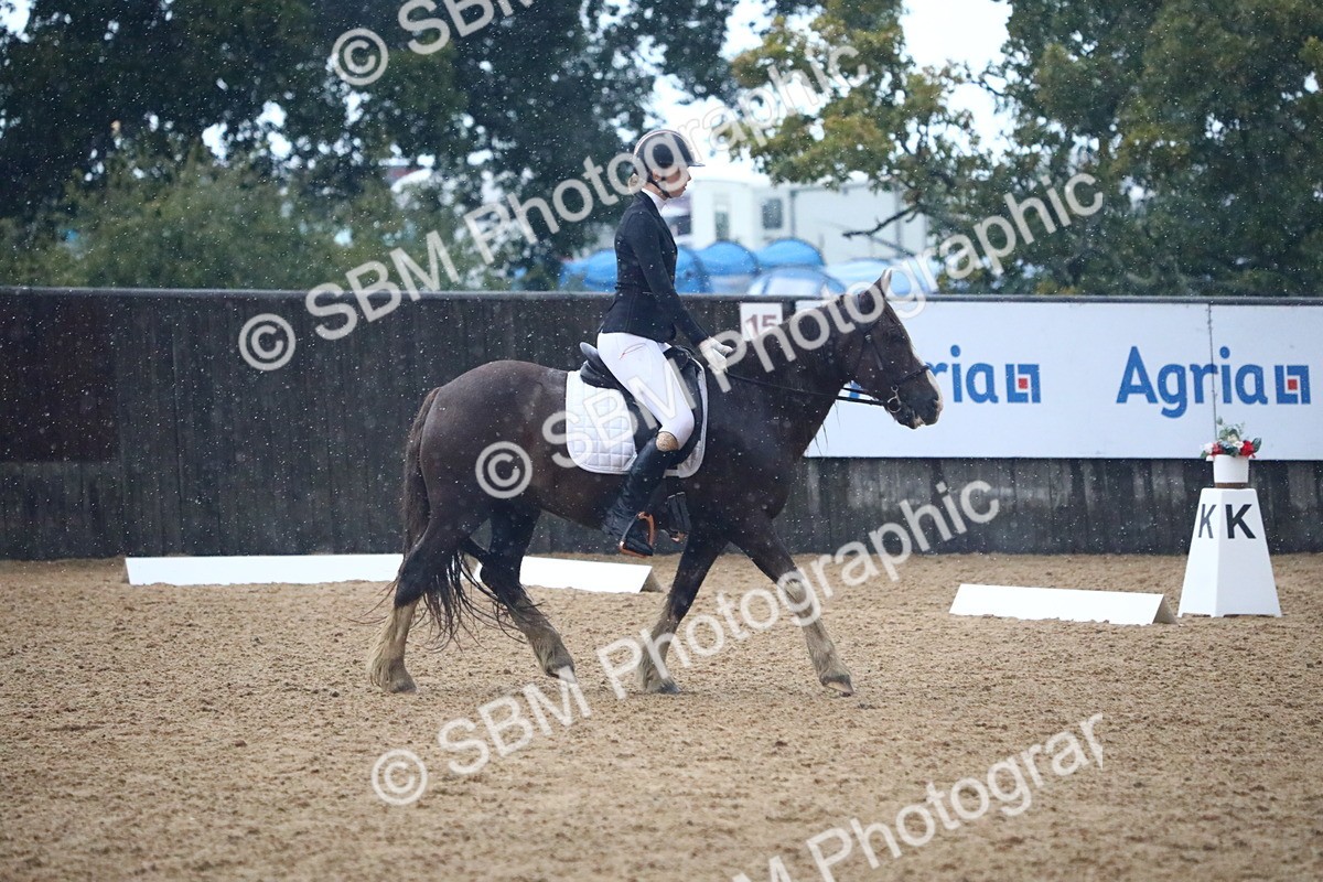 SBM_38844 - D21 - Junior Championship Intro 1