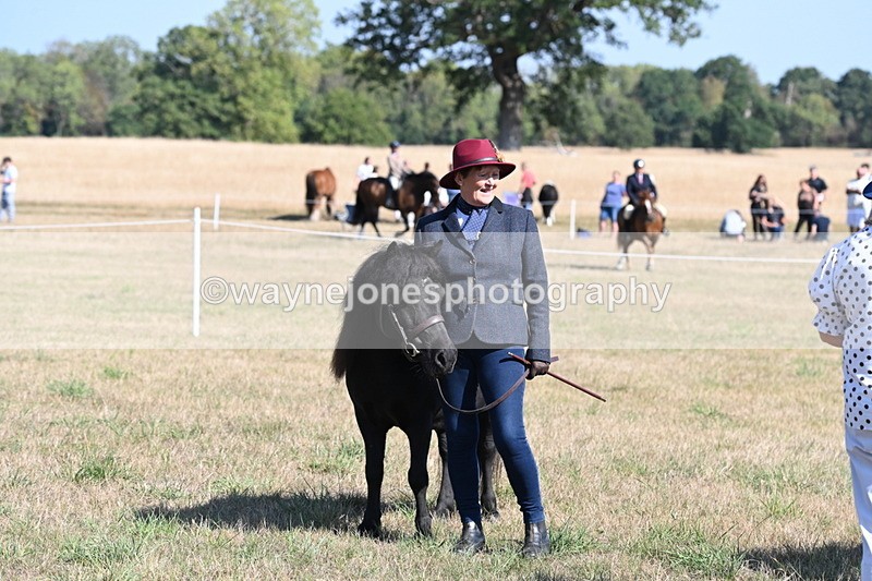 WJ6_4296 - Class 16 Condition & Turn Out