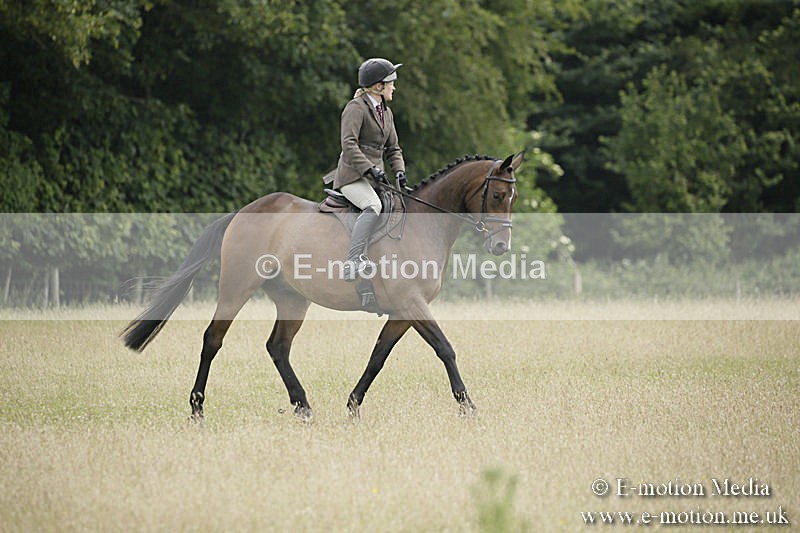 B230619-0412 - Bourne Valley Riding Club Summer Show 23/06/19