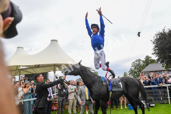 230823-Race 4-Mostahdaf-0375 - Race 4 3.35pm Juddmonte International Stakes