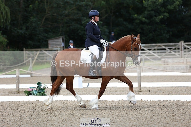 230813-095140-06169 - Cls 11 Elem Bronze Start to 10.50 break