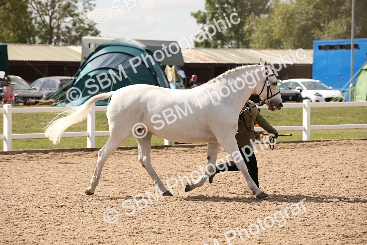 SBM_04546 - Class 20 IH Veteran