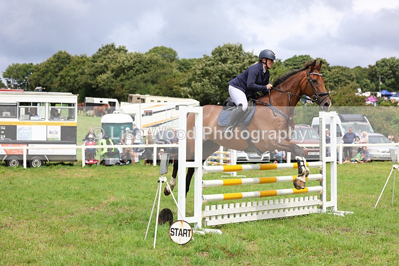 3E7A7330 - Class 5: Senior British Novice/90cm open