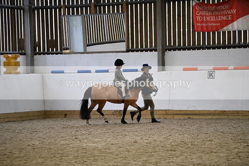 WJ5_6709 - Class 10 Childs Pony