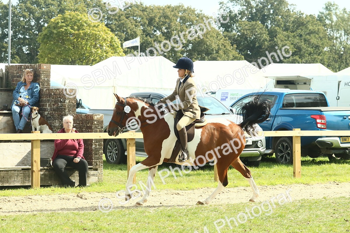 SBM_67507 - S56 - Coloured Pony Ridden